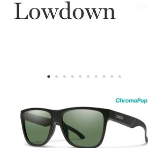 SMITH optics Lowdown matte black